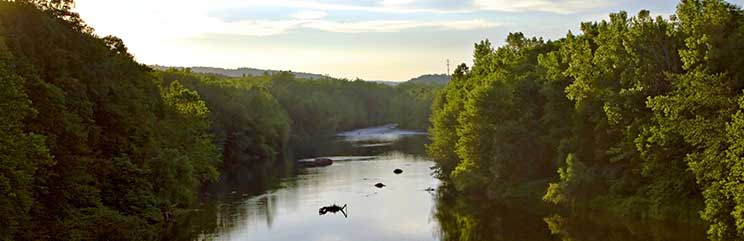 large river with green trees on both sides